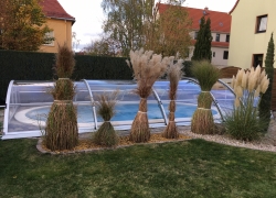 IMG-0346.JPG